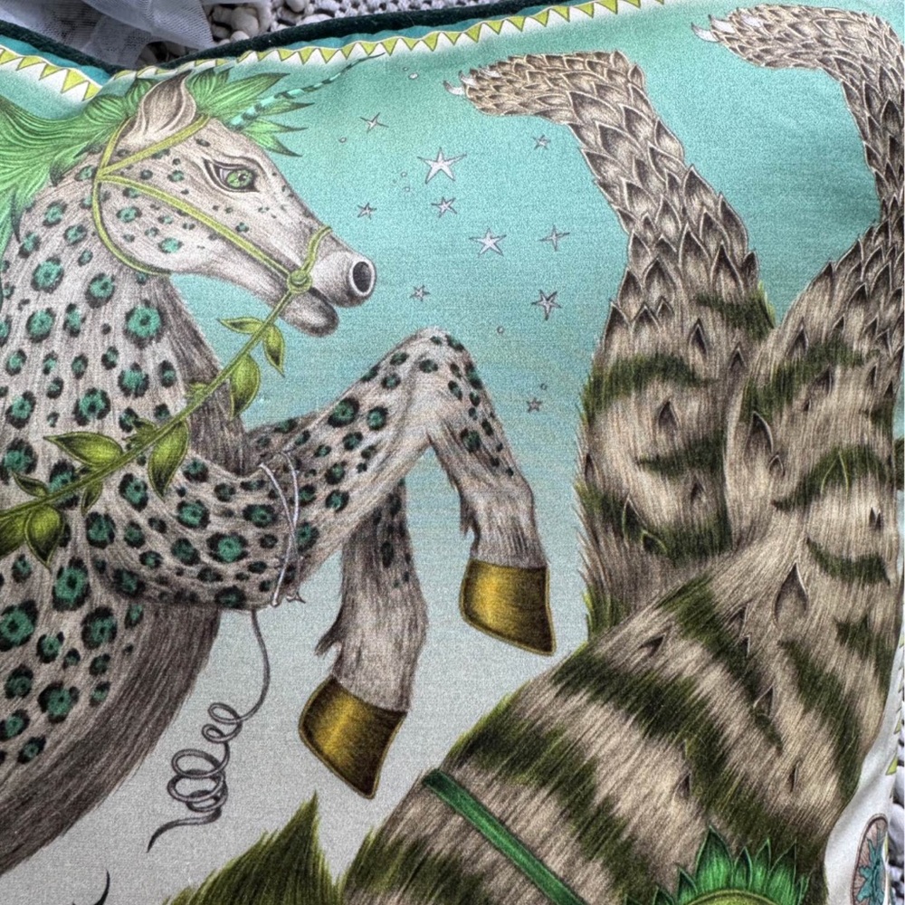 Emma J Shipley designer velvet throw pillow - Picture 5 of 8